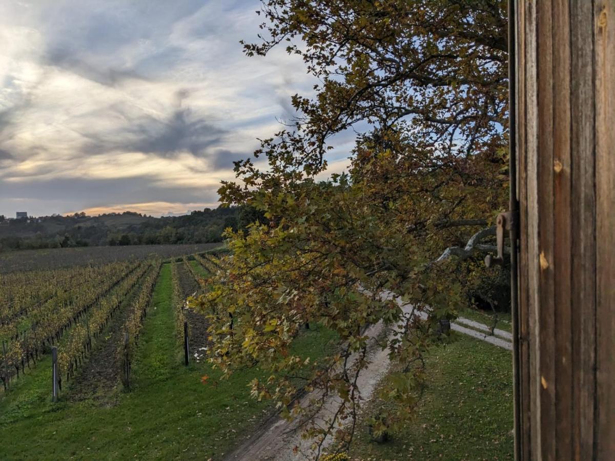 Hotel Castel San Mauro Gorizia Exteriér fotografie